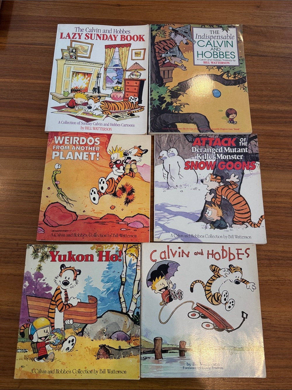 Lot of Vintage Calvin and Hobbes Book Collection